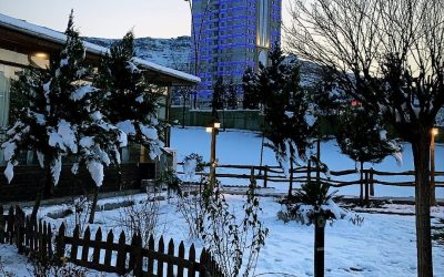 Screenshot_20200212-000206_Instagram