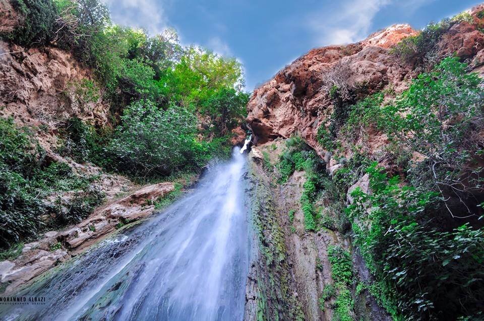 10393546_737271529688937_6363042283595798950_n