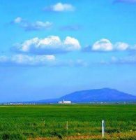 13102613_1713578522246324_4440849658744545614_n