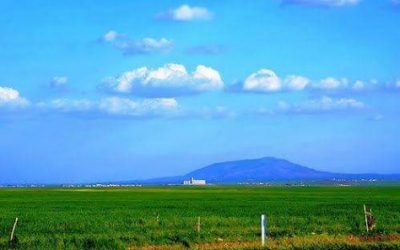 13102613_1713578522246324_4440849658744545614_n