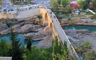 13782137_1140174732693066_1799707586713817820_n