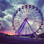 1378669_561480330571816_1568515037_n