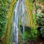 20954063_1841750339174852_4551432523424322313_n