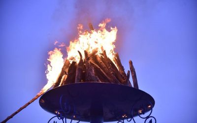 29432408_844420555760106_4468235356281503744_n