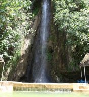 44514317_1768117493310718_7925876615895056384_n