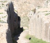 48390352_2414780798563515_6536758478675902464_n