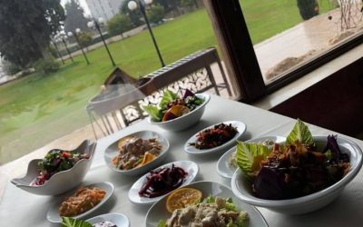 50979536_1528511430616352_3562841415467663360_n