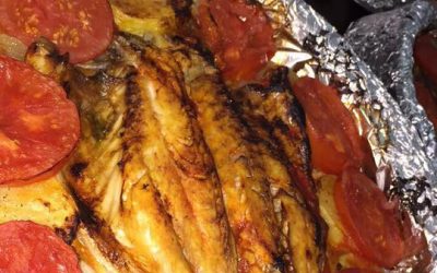 52891130_1552239798243515_3074288632144592896_n