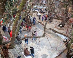 53001562_268951323998490_413797309873127424_n