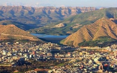 90422635_919013995169964_5938403121263804416_n