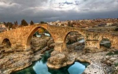 994442_507223969407820_6651972539488332847_n