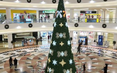 FB_IMG_1551194628412