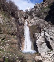 FB_IMG_1551194716973