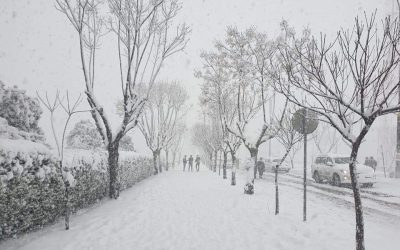 FB_IMG_1581434193311